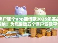 黑户哪个app能借款2025年实战归纳！为您细数五个黑户贷款平台能借钱
