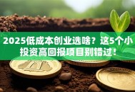 2025低成本创业选啥？这5个小投资高回报项目别错过！