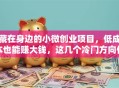 藏在身边的小微创业项目，低成本也能赚大钱，这几个冷门方向你试过吗？