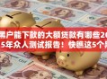 黑户能下款的大额贷款有哪些2025年众人测试报告！快瞧这5个黑户借款的网贷平台能下款