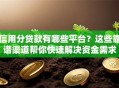 信用分贷款有哪些平台？这些靠谱渠道帮你快速解决资金需求