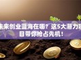 未来创业蓝海在哪？这5大潜力项目带你抢占先机！