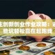 大学生创新创业作业攻略：避开这些坑轻松赢在起跑线