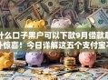 什么口子黑户可以下款9月借款意外惊喜！今日详解这五个支付宝不查征信的口子