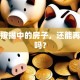 我有按揭中的房子，还能再贷款吗？