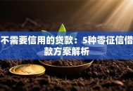 不需要信用的贷款：5种零征信借款方案解析