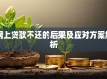 网上贷款不还的后果及应对方案解析