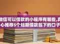 微信可以借款的小程序有哪些,真心推荐5个短期借款包下的口子