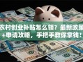 农村创业补贴怎么领？最新政策+申请攻略，手把手教你拿钱！