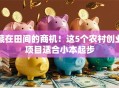 藏在田间的商机！这5个农村创业项目适合小本起步