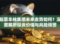 股票丰林集团未来走势如何？深度解析投资价值与风险预警