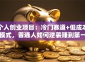 个人创业项目：冷门赛道+低成本模式，普通人如何逆袭赚到第一桶金？