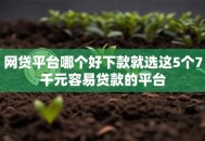 网贷平台哪个好下款就选这5个7千元容易贷款的平台