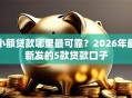 小额贷款哪里最可靠？2026年最新发的5款贷款口子