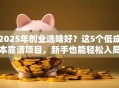 2025年创业选啥好？这5个低成本靠谱项目，新手也能轻松入局！