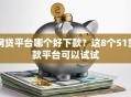 网贷平台哪个好下款？这8个51贷款平台可以试试