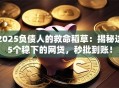 2025负债人的救命稻草：揭秘这5个稳下的网贷，秒批到账！