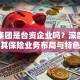 旺旺集团是台资企业吗？深度解析其保险业务布局与特色