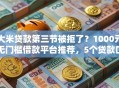 大米贷款第三节被拒了？1000元无门槛借款平台推荐，5个贷款口子平台盘点