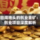 藏在田间地头的创业金矿：农村创业项目深度解析