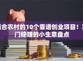 适合农村的10个靠谱创业项目！冷门稳赚的小生意盘点