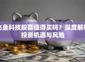 飞鱼科技股票值得买吗？深度解析投资机遇与风险