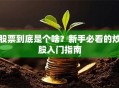股票到底是个啥？新手必看的炒股入门指南