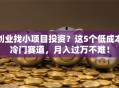 创业找小项目投资？这5个低成本冷门赛道，月入过万不难！