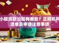 小额贷款公司有哪些？正规机构清单及申请注意事项