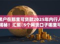 黑户在那里可贷款2025年内行人揭秘!汇聚5个网贷口子哪里可借钱 黑户在那里可贷款2025年内行人揭秘!汇聚5个网贷口子哪里可借钱