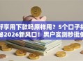 好享用下款吗原样用？5个口子揭秘2026新风口！黑户实测秒批低门槛！