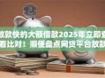 放款快的大额借款2025年立即查看比对！顺便盘点网贷平台放款快的大额贷款