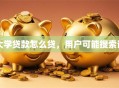 大学贷款怎么贷，用户可能搜索词