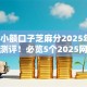 2025小额口子芝麻分2025年此处深度测评！必览5个2025网贷芝麻分口子借钱软件