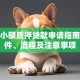 个人小额质押贷款申请指南：条件、流程及注意事项