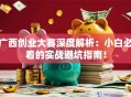 广西创业大赛深度解析：小白必看的实战避坑指南！