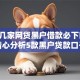 分享几家网贷黑户借款必下口子,精心分析5款黑户贷款口子