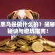 创业黑马是做什么的？揭秘成功秘诀与避坑指南！