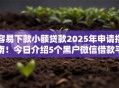 容易下款小额贷款2025年申请指南！今日介绍5个黑户微信借款平台
