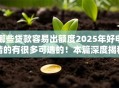 哪些贷款容易出额度2025年好申请的有很多可选的！本篇深度揭秘这五个黑户网贷平台！