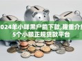 2024羊小咩黑户能下款,隆重介绍5个小额正规贷款平台