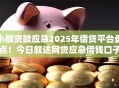 小额贷款应急2025年借贷平台盘点!今日叙述网贷应急借钱口子 小额贷款应急2025年借贷平台盘点!今日叙述网贷应急借钱口子