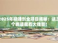 2025年稳赚创业项目揭秘：这三个赛道藏着大钱景！