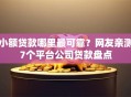 小额贷款哪里最可靠？网友亲测7个平台公司贷款盘点