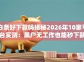 白条好下款吗揭秘2026年10家平台实测：黑户无工作也能秒下款！