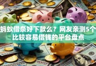 蚂蚁借条好下款么？网友亲测5个比较容易借钱的平台盘点