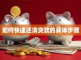 如何快速还清贷款的具体步骤