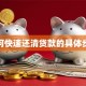如何快速还清贷款的具体步骤