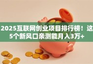 2025互联网创业项目排行榜！这5个新风口亲测能月入3万+