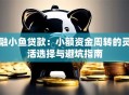 融小鱼贷款：小额资金周转的灵活选择与避坑指南